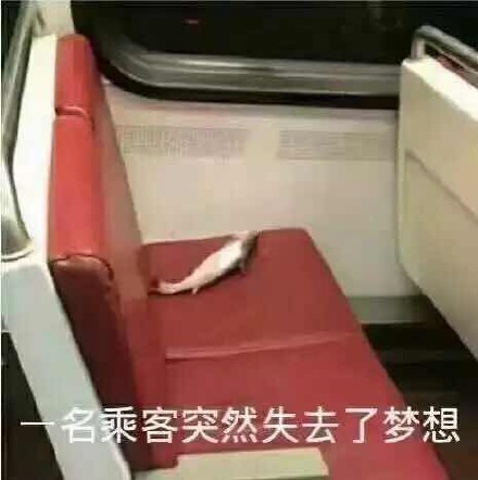 “你就欺负我吧，长大后一棍子抡死你”表情包合集来了