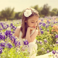 21张带薰衣草的唯美女生QQ头像合集