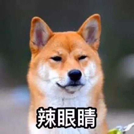 单身狗专属！这套又帅又机智的表情包火了