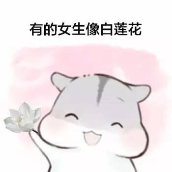 女生版仓鼠斗图梗！“有的女生像白莲花”表情包整活来了