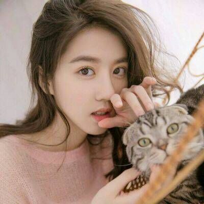 18张高清抱猫女生头像 温柔又治愈的微信头像合集