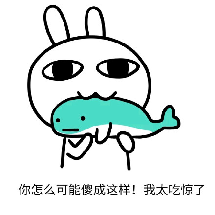 恶搞兔表情包合集来啦 聊天斗图用得上