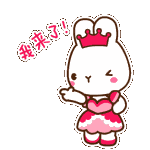 超可爱的LADYCCQQ表情包来啦