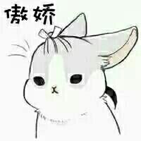 超治愈可爱兔子表情包合集