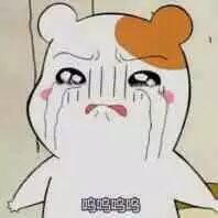 超治愈！这套仓鼠表情包太适合斗图了