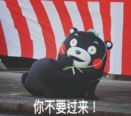 熊本熊表情包上新！“我被五花肉蒙蔽了双眼”火出圈