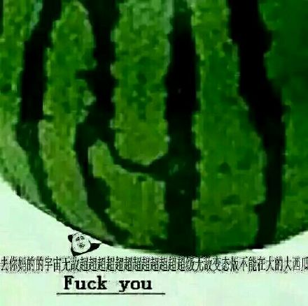 你个小西瓜表情包合集来啦