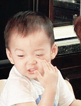 宋民国可爱表情包合集来啦