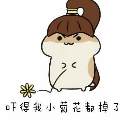 吓得我系列仓鼠管家表情包合集