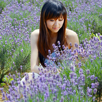 女生薰衣草头像合集！39张置身花海的氛围感美女头像