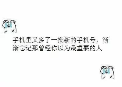 这套丧丧的小熊表情包，戳中了多少人的emo瞬间
