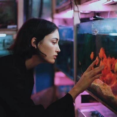 这里是来自小脸头像网的欧美高冷女生头像合集页面，页面内共整理了17张高清好看的欧美风格高冷女生头像，支持大图、小图、方图、圆图四种浏览模式，同时提供分页浏览功能，还附带了相关标签推荐与其他同类头像链接。