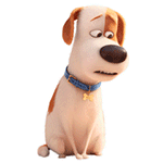 爱宠大机密QQ表情包来啦 聊天斗图直接用