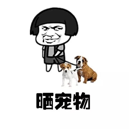 当代朋友圈真实写照 这套表情包太懂了