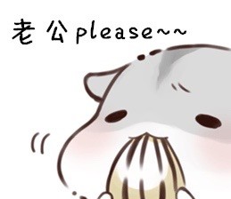 可爱仓鼠表情包合集，聊天斗图超好用