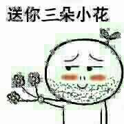 送你朵小花表情包合集来啦