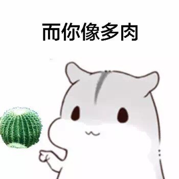 女生版仓鼠斗图梗！“有的女生像白莲花”表情包整活来了