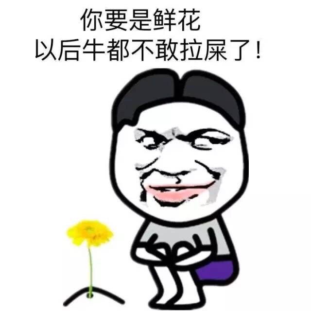 装X专用表情包合集来了