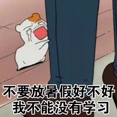仓鼠管家学习表情包来啦
