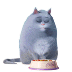 爱宠大机密QQ表情包来啦 聊天斗图直接用