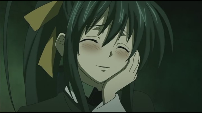 《恶魔高校D×D》高清校园少女壁纸合集