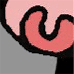 卷卷羊QQ表情包合集来啦