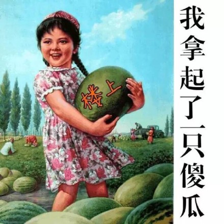 黄瓜的味道怪怪的这套表情包，简直是斗图整活神器