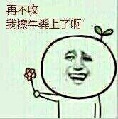 送你朵小花表情包合集来啦