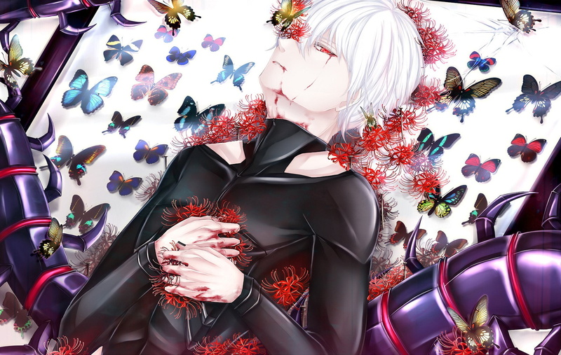 白发少年红眸东京喰种 血蝶壁纸高清修复版