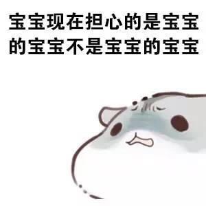 火出圈的仓鼠版绕口令表情包：宝宝的经纪人睡了宝宝的宝宝