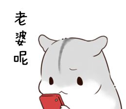 这款仓鼠表情包火了！台词是“说了多少次 老婆要听话”