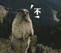 谁懂啊！咆哮山鼠土拨鼠表情包又火了