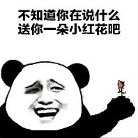 走慢一步我扔屎你 金馆长表情包合集