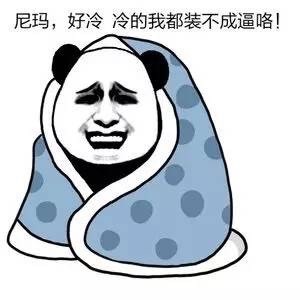 天冷不想动？这套“我要冬眠别打扰我”表情包火了