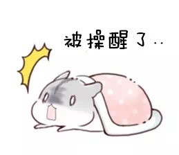 可爱仓鼠表情包合集，聊天斗图超好用