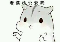 可爱仓鼠表情包合集 聊天斗图超好用