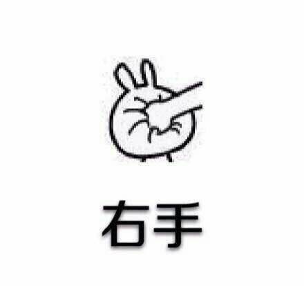 左手右手一个慢动作 相关表情包合集