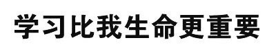 给你的胸胸打分！这套文字表情包太会玩了
