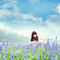女生薰衣草头像合集！39张置身花海的氛围感美女头像