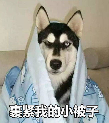 降温提醒！快裹紧你的小被子呀