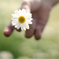 女生手部唯美意境头像合集 21张好看头像分享