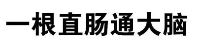 整活必备！“一根直肠通大脑”文字表情包合集