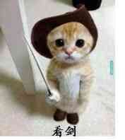 颜值高的烦恼你懂吗？这篇表情包告诉你答案