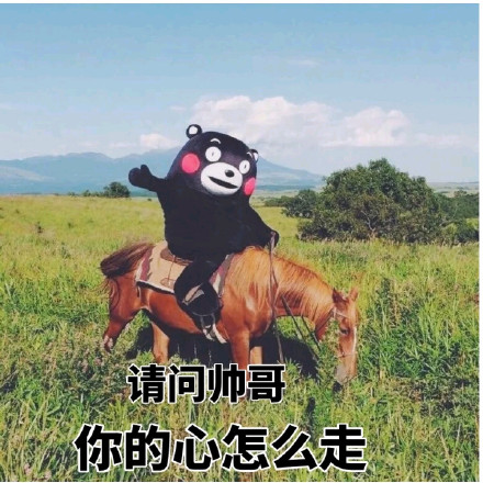 请问帅哥，你的心怎么走？熊本熊撩人情话表情包来了