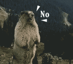 谁懂啊！咆哮山鼠土拨鼠表情包又火了