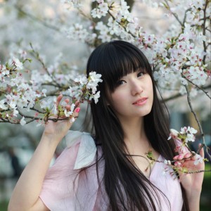 23张梦幻樱花女生头像！高清唯美氛围感拉满