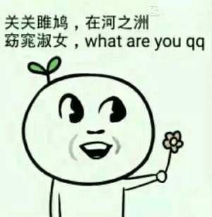 我可以撩你吗 就撩一下 金馆长表情包合集