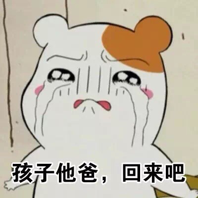 仓鼠管家搞怪表情包合集