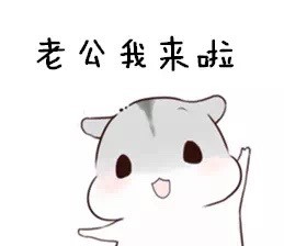 可爱仓鼠表情包合集，聊天斗图超好用