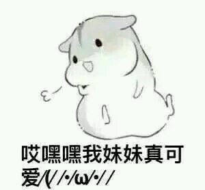 可爱仓鼠表情包合集 聊天斗图超好用